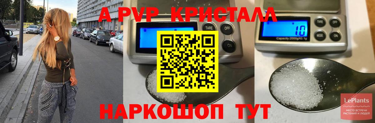 Alfa_PVP СК КРИС Прокопьевск