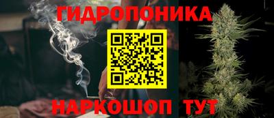 индика Будённовск