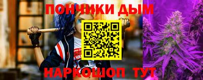 индика Будённовск