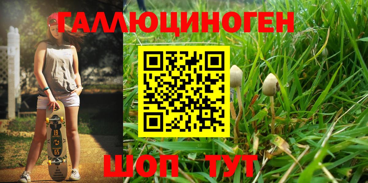 Галлюциногенные грибы Psilocybine cubensis  Галлюциногенные грибы мицелий  Прокопьевск  Вход с VPN 